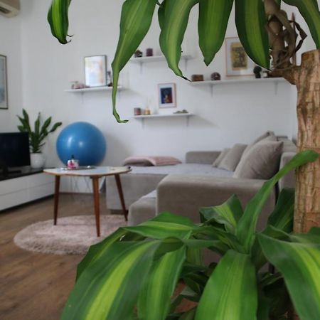 זאדאר Cosy Apartment - 10 Minutes Walk To Sea מראה חיצוני תמונה